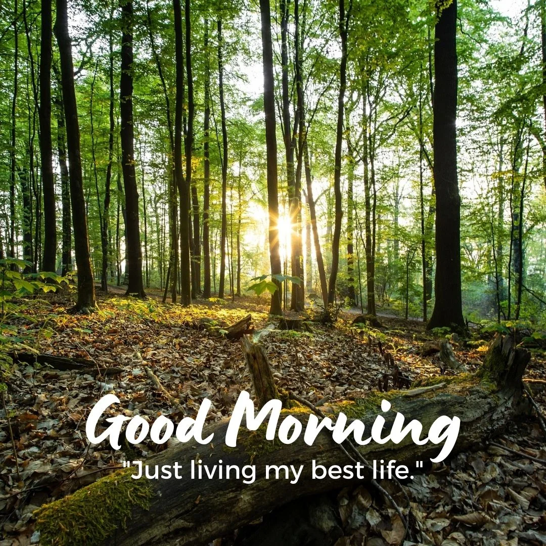 80+ Good morning images free to download 27